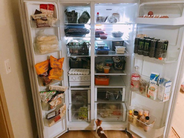 冰箱響個不停是怎么回事 