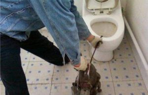 天津馬桶堵塞疏通多少錢